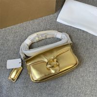 Mini Bolsa Travesseira 2023 Nova Tabby Bolsa de Um Ombro Bolsa Vintage Nuvem