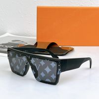 Hot designer Sunglasses letter V WAIMEA L the same model sun...