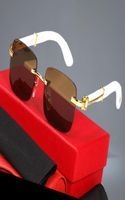 Evidence E Sunglasses – Luxuria & Co.