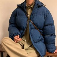 louis vuitton mens jacket dhgate｜TikTok Search