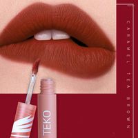 Lipgloss 2 Farben Matterstick wasserdichtes langlebiger Fl￼ssigkeit leicht zu tragen t￶nend nahrhaftes Make-up-Kosmetikkosmetik