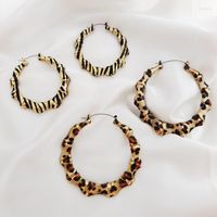 Hoop Earrings 2022 Ins Leopard Printing Big Bip- hop Rock Clu...