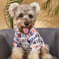 Köpek giyim evcil sweater renkli mektup baskı bahar ve yaz ins tarzı kapüşonlu rahat kıyafetler moda