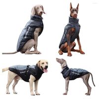 하네스와 개 의류 애완 동물 재킷 방수 코트 반사 소형 매체를위한 겨울 따뜻한 옷