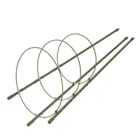 Decorative Flowers Tomato Trellis Support Cages Stakes Cage ...