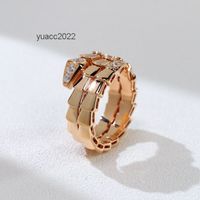 Anelli di fascia Fashion Duble Ring Diamond Snake Ring Anello maschile S925 Silver Piccolo design Esagerato gioielli di personalità