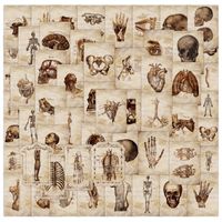 56PCS Anatomy and Physiology The Body Structure Stickers for...