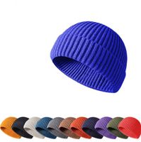 Capas de inverno Caps curtos masculinos e femininos Hip Hop Yuppie Landlord Hat Hats Rogue Hats