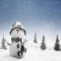 Weihnachtsdekorationen 500G/Packung Emulation künstliches Schneepulver Magie Instant Holiday Dekoration