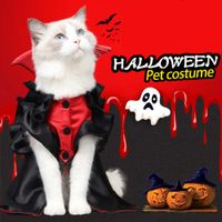 Halloween Cat Costumes Hot Cat Vampire Sukienka ubrania dla zwierząt zamienionych w zabawny peleryna
