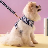 Dog Collars Leashes Printed Patterns Designer Sets Unisex