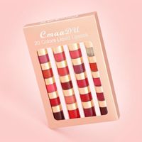 Juego de lápices de labios líquidos Conjuntos de brillo de labios de larga data de 20 colores Magno de regalo de labios de terciopelo para mujeres