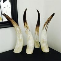 11 Ornements de corne authentique naturels simples Single Yellow Horn de Corne d'Afrique plus de 40 cm-60cm263g