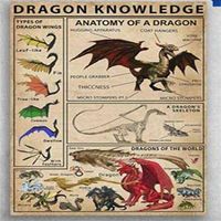 Dragon Connaissances Types d'ailes de dragon Affiche Inch Home Cuisine Retro Bar Pub Office Bure