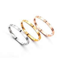 Pulseiras de pulseiras de mangueira de alta edi￧￣o para homens Men Gold Silver Rosegold 316L Titanium Steel Designer Jewelry com chave de fenda de 15 cm a 22cm Design cl￡ssico