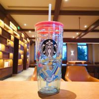 Starbucks Yaz Su Parkı Çift Cam Saman Kupa 591ml Büyük Kapasiteli İçme Kupası Kapak
