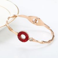 Brazalete de lujo cz brazaletes pulseras de acero inoxidable para mujeres joyas de boda de primavera de primavera