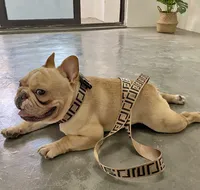 Top Pet Hand vasthouden touwhaaste rush dog leash jarre aero corgi teddy kraag halsband set
