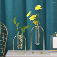 Vasen Nordic Light Luxus Geometrische Eisen transparent Glashydroponische Vase -Dekoration Wohnzimmer Blume Arrangement Home