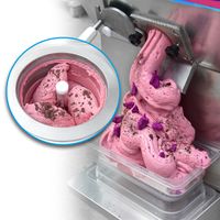 Taze Fruist İtalyan Gelato Sorbet Dikey Model ve Otomatik Pozitif İnversiyonu ile Sert Dondurma Yapım Makinesi