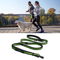 Coloque de perros Correa de nylon de bungee de 2 m con el cinturón de cintura ajustable costura reflectante y mango acolchado para mascotas entrenando