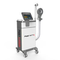 PMST Другое здоровье предметы красоты лазер физиотерапевтическая машина EMTT для облегчения боли в организме