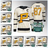 Sidney Crosby Penguins 2023 Winter Classic Jersey Evgeni Malkin Jake  Guentzel Jason Zucker Kasperi Kapanen Bryan Rust Kris Letang Casey DeSmith  Tristan Jarry From Fans_sportjerseys, $24.68