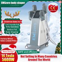 2022 5600W Christmas Slinmming Neo DLS-EMSLIM RF Fat Burning Façonnant l'équipement de beauté Emszero 13 Tesla Hi-Emt Nova Electromagnétique Muscle Stimulateur de stimulateur musculaire
