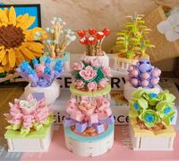 Stucculenti bonsini bonsai giocattoli pianta in mattoni floreali kit regalo giocattoli creativi ragazzi e ragazze ornali1048883