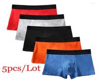 Underpants 5pcslot Cotton Man Underware Panties Boxers Men Apresel Boxer Shorts Homme Comfort2592076