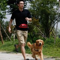 Hundeautossitzabdeckungen Haustierkatze Running Jogging gepolsterte Taillengürtel Streifen elastische Leine perfekte Wandertraining Set Hände kostenlos