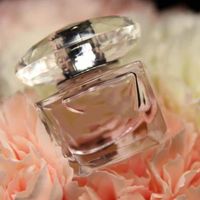 Wholesale Charming Cologne Perfumes fragrances for woman per...