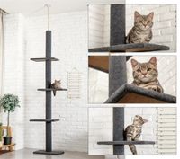 H228274 cm Consegna domestica Pet Scratcher Post Regolable Gracking Toy Super High Jumping Toys 2206249830669