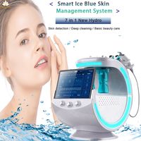 Microdermoabrasão profissional Auqa Water Hydra Machine Hydro Oxigênio Skin Skin Rejuvenescimento Cuidado Ultrassônico Face Peel Spa Remoção Tratamento