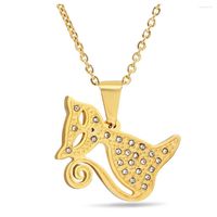 Choker Womens Necklace Stainless Steel Chain Pendant Gold Co...