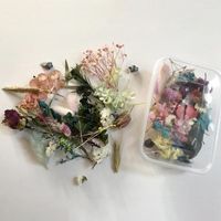 الزهور الزخرفية المجففة زهرة 1 box muliticolor المحفوظة ألوان عشوائية متعددة الألوان لكتاب القصاصات