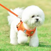 Collares para perros correa para mascota tracci￳n de tracci￳n de cuerda de cachorro mazo de malla correa reflectante