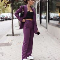 Kadınlar İki Parçalı Pantolon 2022 Kadınlar Vintage Mor Çift Göğüslü Ofis Wear Blazer Ceket Yüksek Bel Fermuar Kadın Dış Giyim Şık Setleri
