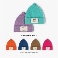 BeanieSkull Caps Autumn and Winter Knitted Hat Pointed Lette...