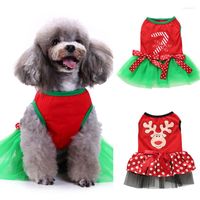 Hundekleidung Haustier Rock Kleid Lustige Halloween -Katzenkleider kleiner Kleidung Cosplay Kost￼m Weihnachten up Welpe