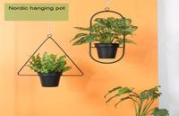 Metal Plant Hanger Chain Hanging Basket Flower Pot Plant Hol...