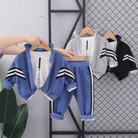Осенние мальчики набор одежды дизайнеры одежда для малышей мальчик хлопковое покрытие брюки для футболки 3pcs stant Kids Sportswear