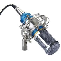 Microphones 1set Professional Condenser Microphone Cardioid ...