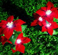 Pacchetto luci natalizie solare fiore natalizio da giardino impermeabile e verdura lampada da giardino per il matrimonio per il giardino del patio