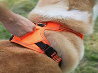 Collares de perros correas productos para mascotas correa de tórax deportivo mango vertical de tracción de tracción explosión perforador
