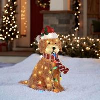 Садовые украшения Goldendoodle Holiday Living 36x16cm Рождественский светодиодный светодиодный светодиодный декор Doodle Dog с стрункой на открытом воздухе 221123