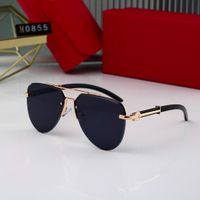 PP Top Luxury Sunglasses Polaroid Lens Lens Designer Женская мужская мужчина Goggle Старшие очки для женщин
