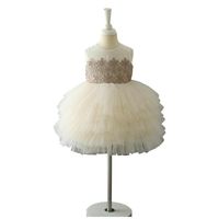 Vestidos de ni￱as Baby Girl Girls Pinkler Princess Cloth Kids Tutu Falda Casa Vest Flower Wedding Show E18907