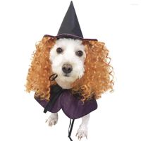 ملابس الكلاب 2022 تصميم أزياء الهالوين معالج الأرجواني ملابس مضحكة مع زي قبعة شعر مجعد للهدية للحيوانات الأليفة
