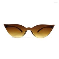 Óculos de sol Cooyoung Moda gato Eye Women Designer Trendy estreito triangular pequena damas vintage óculos UV400